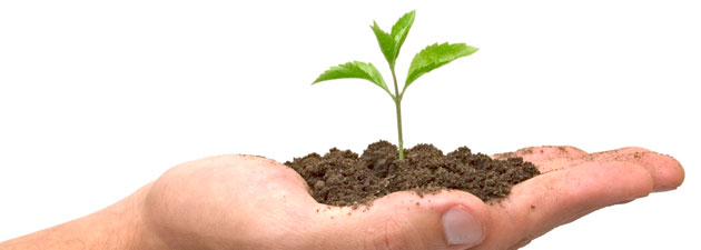 Grow-Your-Business