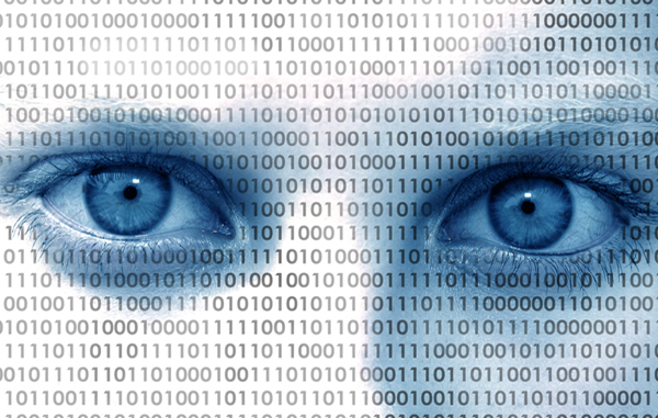 Does a Small Business Really Need Big Data?